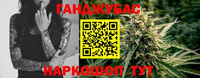 гидра Шелехов