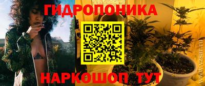 прущие крисы Шебекино