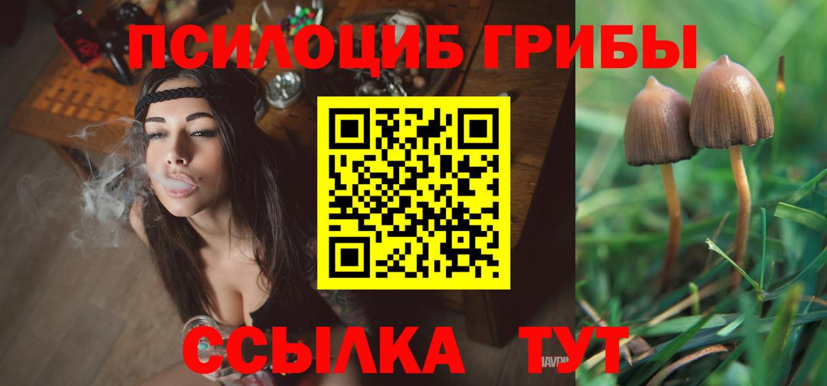 наркошоп  Галлюциногенные грибы GOLDEN TEACHER  Вход с VPN  Бор  Псилоцибиновые грибы Cubensis 